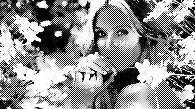 Halftone Screen bitmap engraving photo Halftone Screen bitmap engraving photo